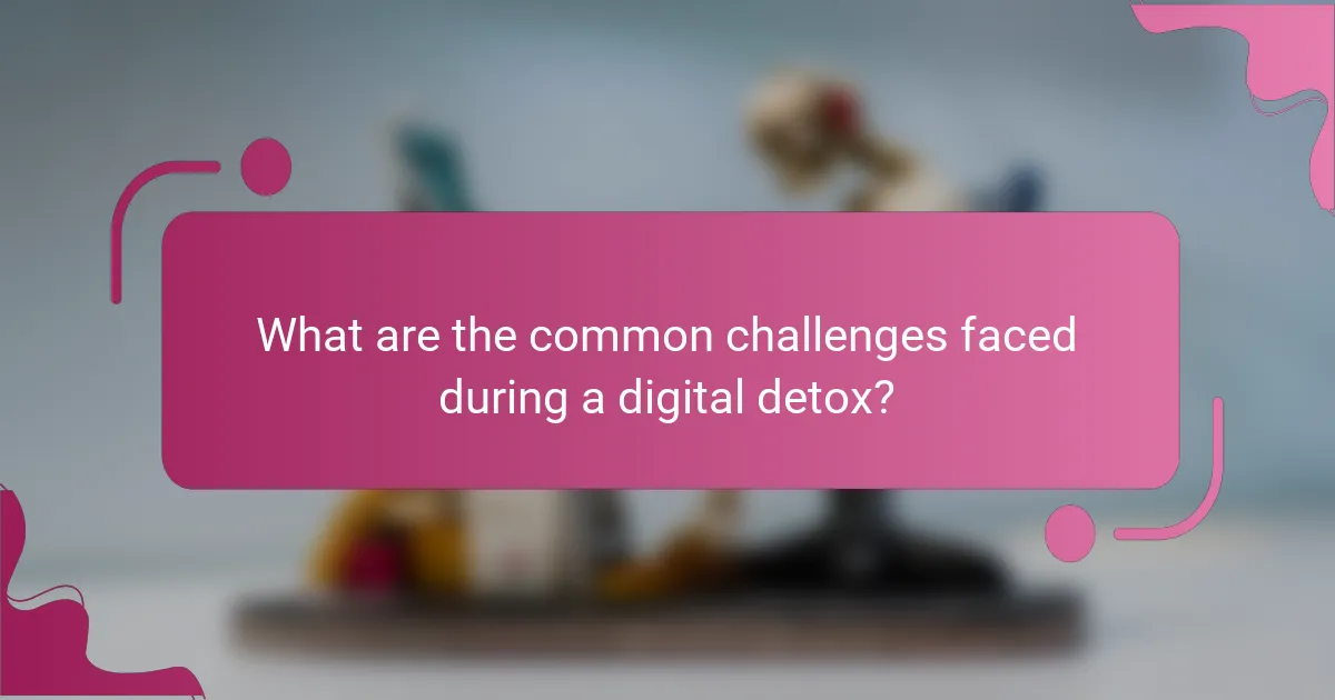 What are the common challenges faced during a digital detox?