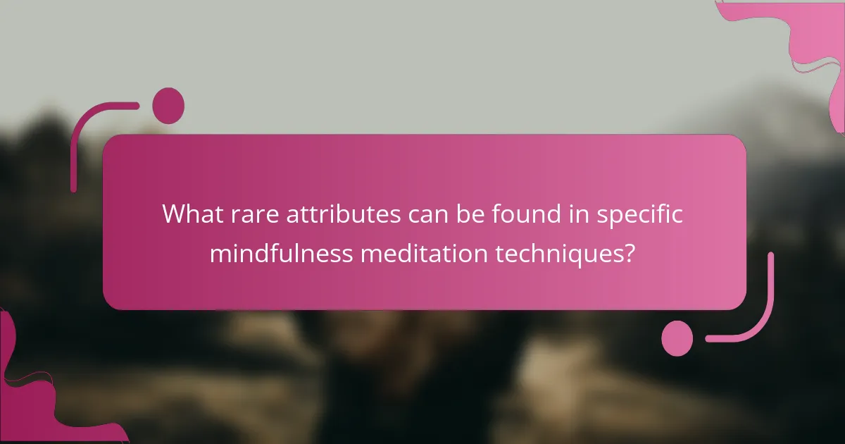 What rare attributes can be found in specific mindfulness meditation techniques?